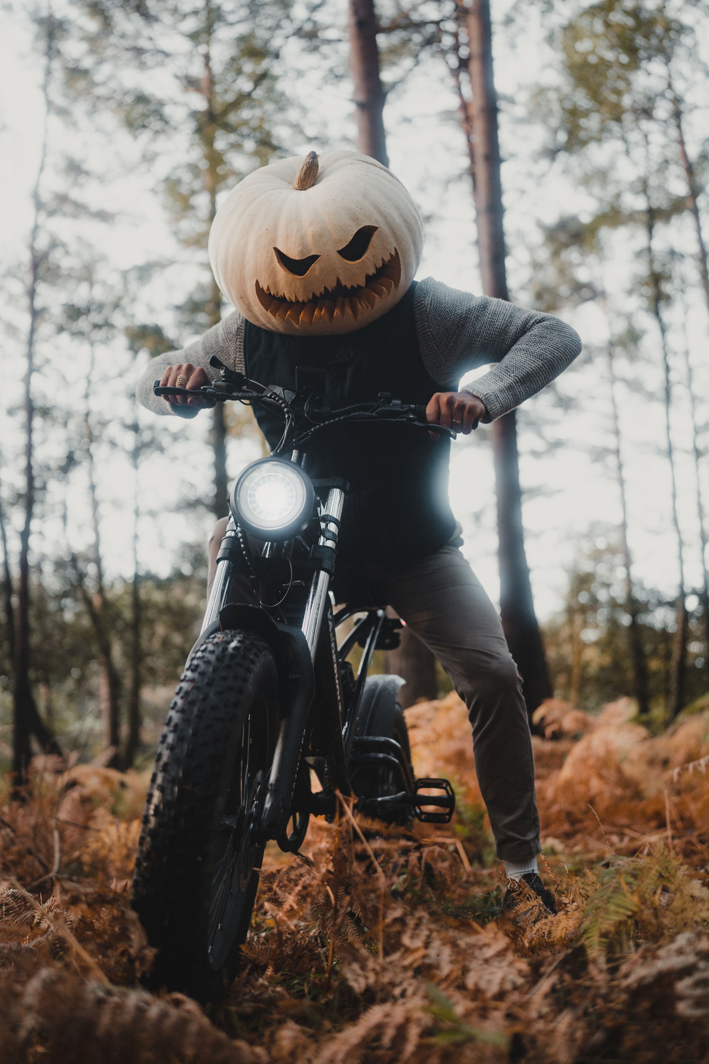 Halllowen ebikes